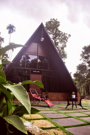 My villa wayanad 300